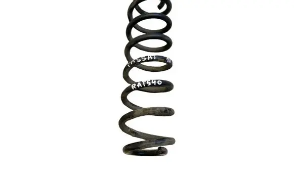 Rear coil spring