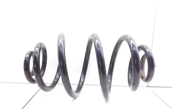Volkswagen PASSAT B5.5 Rear coil spring