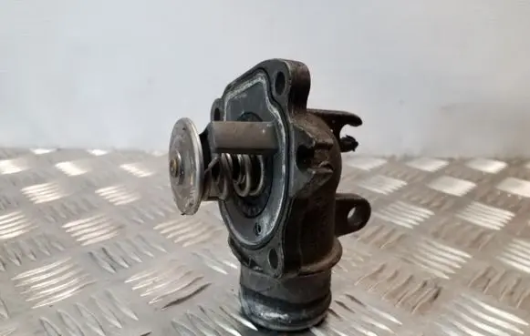 Thermostat/thermostat housing