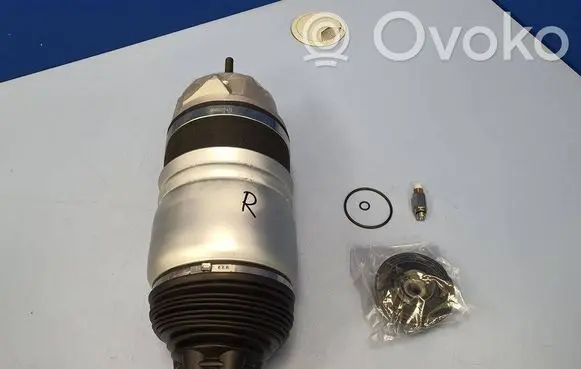 Volkswagen Touareg II Air suspension front shock absorber 7P6616040H 7P6616040K 7P6616040M