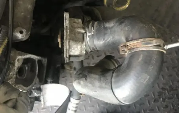 Opel Zafira A Engine coolant pipe/hose