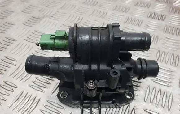 Thermostat/thermostat housing