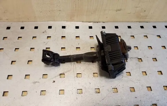 Rear door check strap stopper
