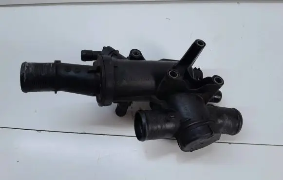 Thermostat/thermostat housing