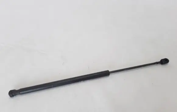 Tailgate strut