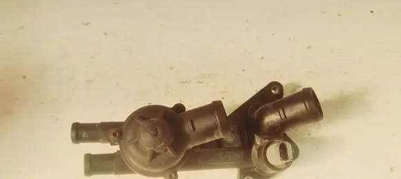 Thermostat/thermostat housing
