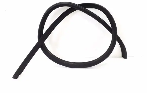 Mercedes-Benz CL C216 Front door rubber seal A2166970151