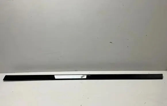 BMW XM Front door trim (molding) 9881623