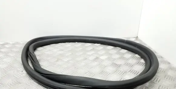 Volkswagen Tiguan Front door rubber seal 5N0867911