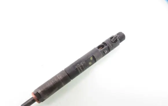 Renault Kangoo I Fuel injector 8200049876 8200240244 EJBR02101Z