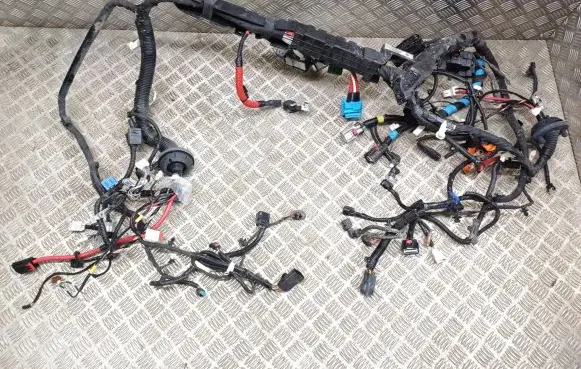 Other wiring loom