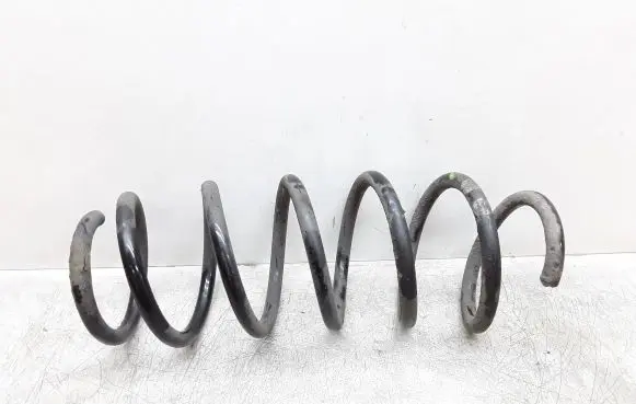 Rear coil spring