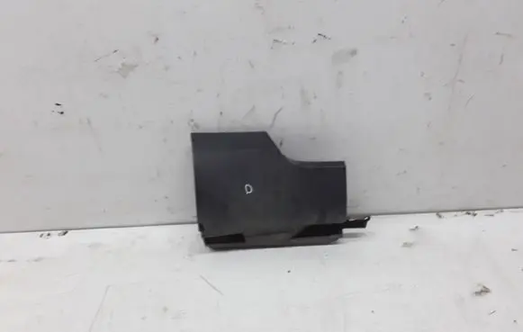 Volkswagen PASSAT B6 Front sill (body part) 