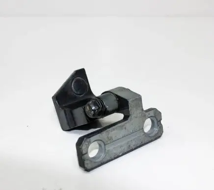 Rear door lower hinge