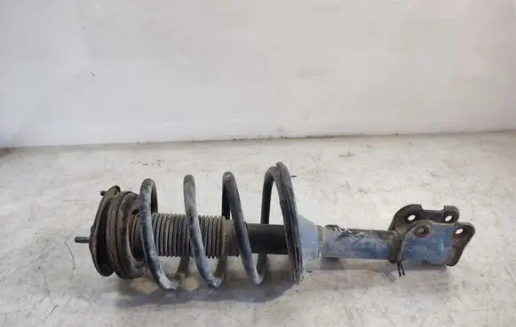 Hyundai ix 55 Front shock absorber with coil spring