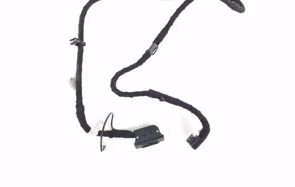 Mercedes-Benz S W221 Other wiring loom A2218206215