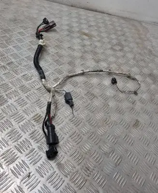 Other wiring loom