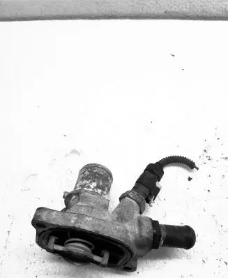 Ford Ka Thermostat 2690294