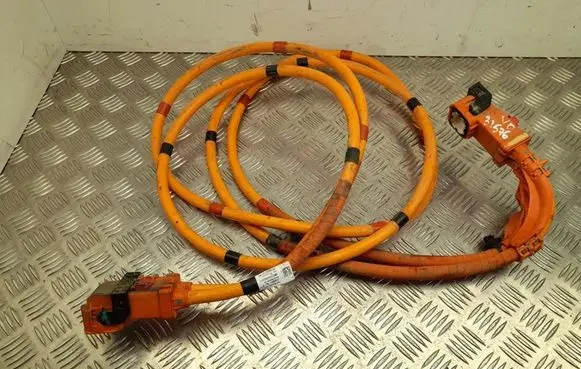 Tesla Model Y Other wiring loom 110900300F