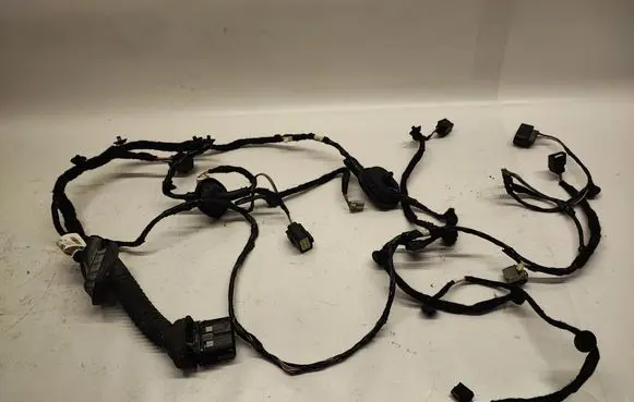 Ford Mustang VI Front door wiring loom FR3T14630AJ