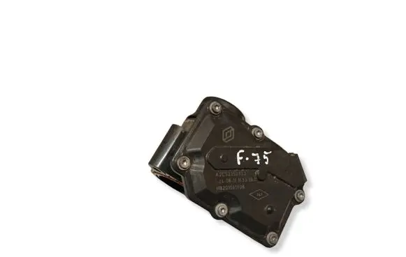Nissan Qashqai Throttle valve A2C53350753 H8201061908