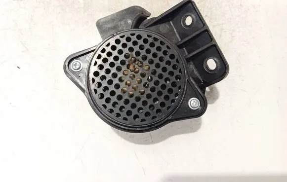 Front door speaker