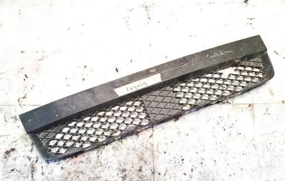 Front bumper lower grill