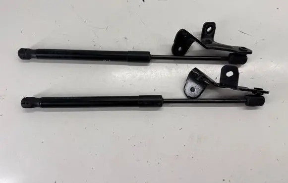 Tesla Model 3 Front bonnet/hood damper/strut 109147200B