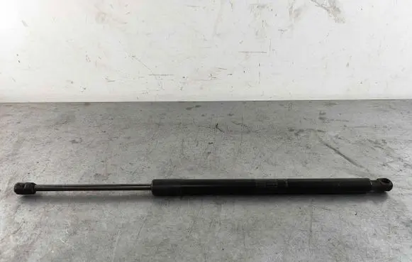 Tailgate strut
