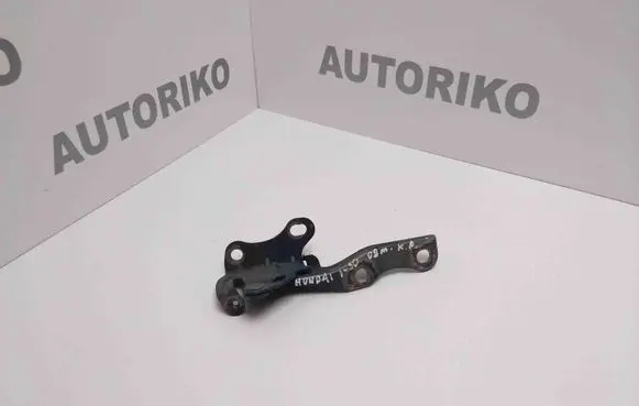 Hyundai i30 Engine bonnet/hood hinges 