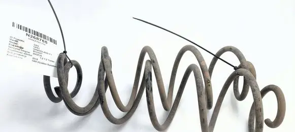 Opel Grandland X Rear coil spring 