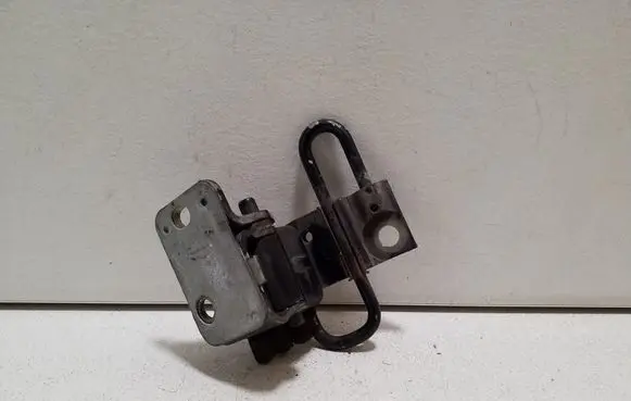 Front door lower hinge