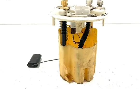 Citroen C4 II In-tank fuel pump 9671722680 005140360333