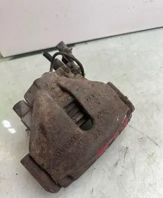 Volkswagen PASSAT B5.5 Front brake caliper 454