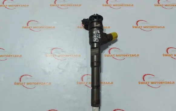 Renault Clio III Fuel injector 0445110652