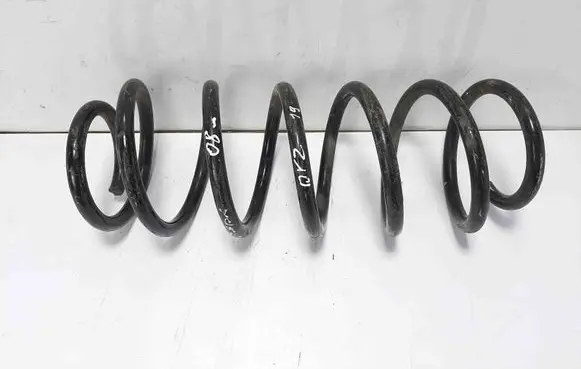 Front coil spring