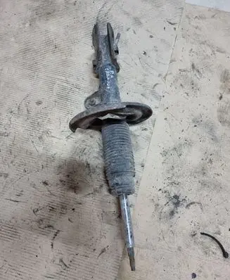 KIA Carnival Front shock absorber/damper 546004D200
