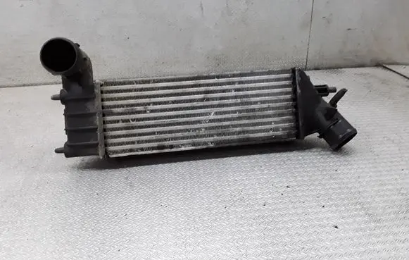 Peugeot 807 Intercooler radiator 1489396080