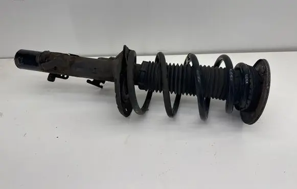 Land Rover Evoque I Front shock absorber with coil spring BJ3218K001AD 281111041
