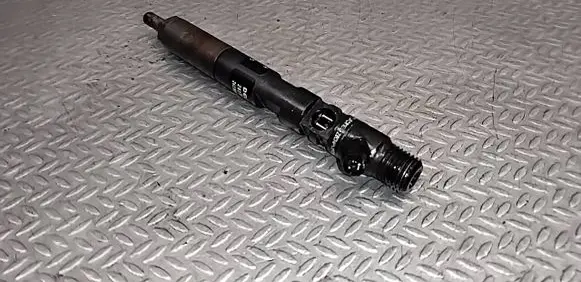Renault Clio III Fuel injector 28237259 H8200827965