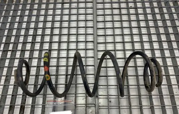Rear coil spring