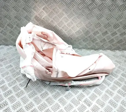 KIA Niro Roof airbag 85020G5000