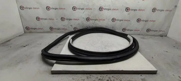 Renault Talisman Rear door rubber seal (on body) 