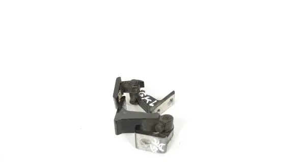 Audi A5 Rear door lower hinge