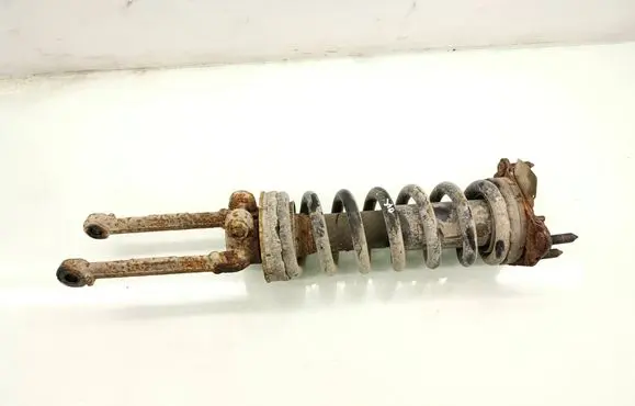 Dodge Nitro Front shock absorber with coil spring 