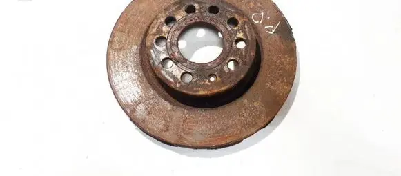 Volkswagen Golf V Front brake disc ventiliuojamas