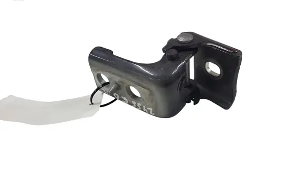 Citroen DS5 Rear door lower hinge