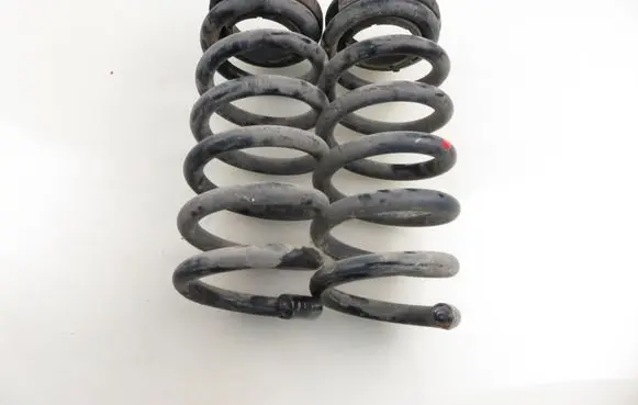 Rear coil spring