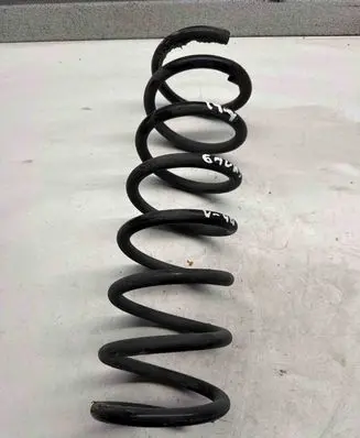 Rear coil spring