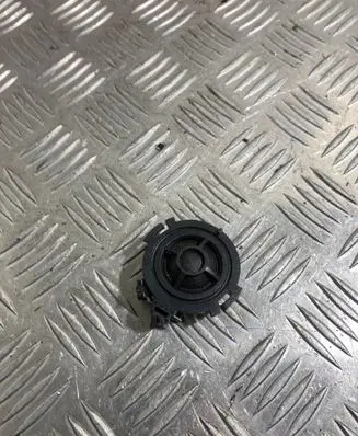 Front door high frequency speaker